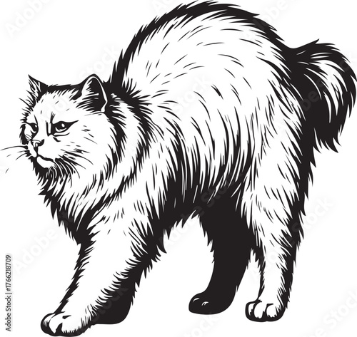persian-cat-stretching-arched-back-vector.eps