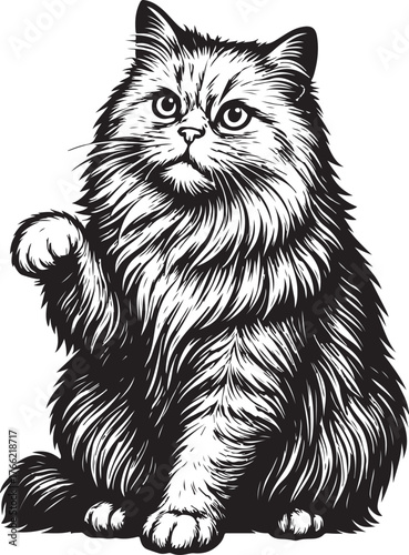 persian-cat-curious-paw-raised-vector.eps