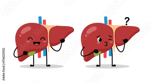 Happy and Confused Liver Cartoon Characters with Question Mark.