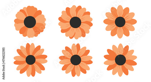 Set of six stylized orange gerbera daisy flowers illustration.