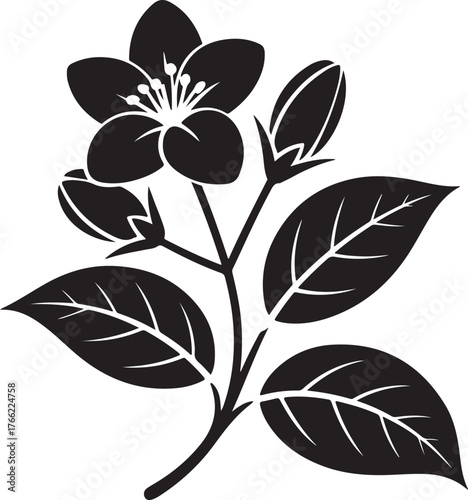 black silhouette of jasmine flower on white background, vector