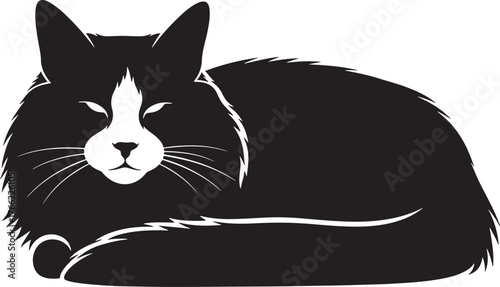 Charming tuxedo cat silhouette with white chest marking resting contentedly captured in a stylized graphic