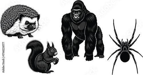 Animal silhouette set, hedgehog, squirrel, gorilla, spider, wildlife diversity, black vector, forest, insect, primate, rodent, arachnid, nature, illustration, 