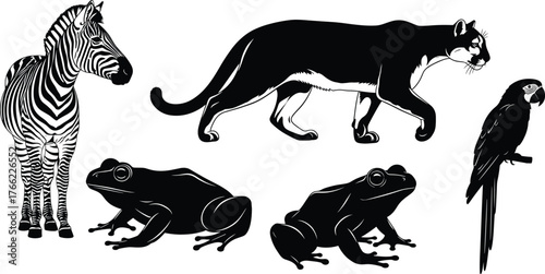 Animal silhouettes, zebra, panther, frogs, parrot, wildlife icons, black shapes, jungle creatures, exotic animals, nature symbols, vector illustration, isolated, graphic design, stock imag