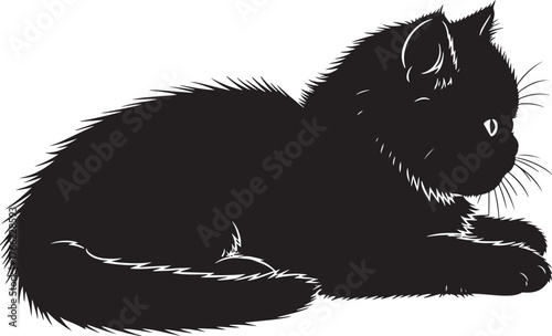 Adorable black kitten silhouette relaxing lying down soft fur tail detailed whiskers playful pet domestic animal companion adorable feline