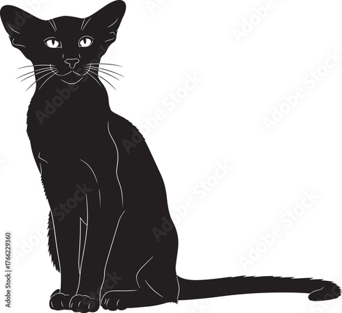 Elegant black cat silhouette sitting gracefully with expressive eyes and long tail for design projects