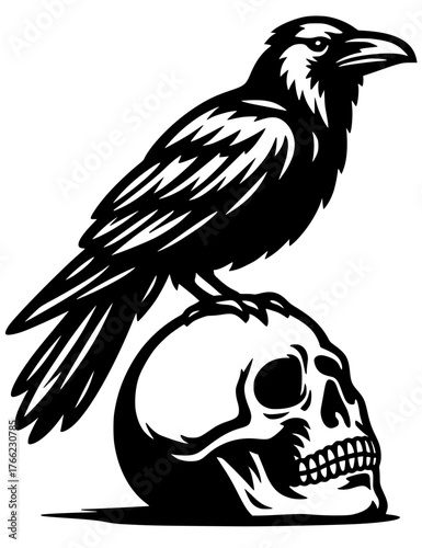 Raven perched on human skull black and white illustration. Gothic crow bird with death skull design.