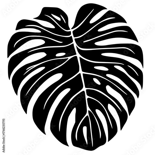 Monstera deliciosa leaf black silhouette. Tropical palm plant with split leaves. 