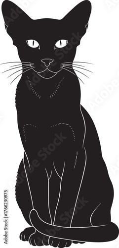 Elegant black cat silhouette majestic feline posed gracefully and alert with striking eyes and whiskers for design elements