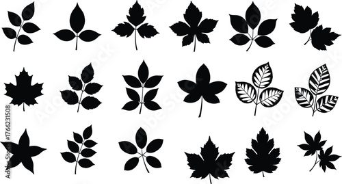 PrintLeaf silhouette collection, botanical vector set, diverse leaf shapes, black foliage icons, nature design elements, plant illustration pack, isolated leaves