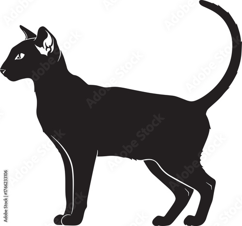 Elegant silhouette of a slender oriental cat with a curled tail in profile view and distinctive features