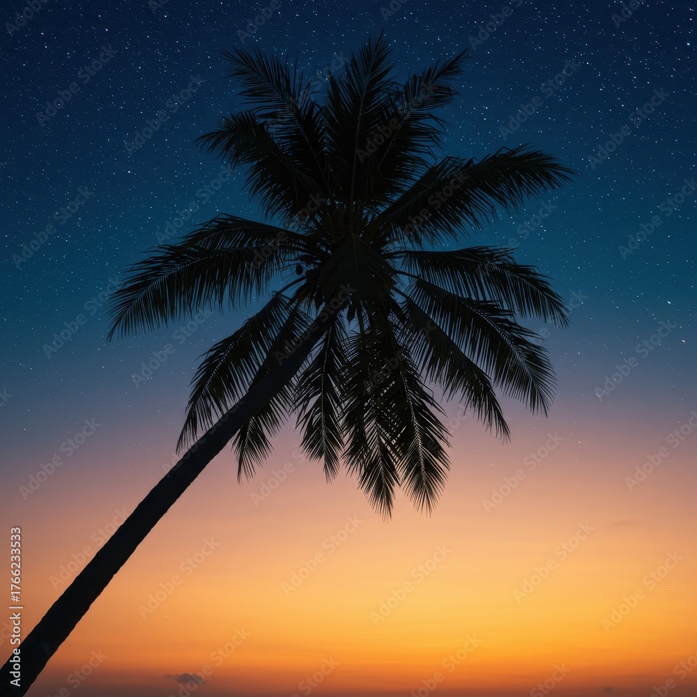 Fototapeta premium Tropical evening serenity: A majestic coconut palm tree silhouette frames a deep blue starry night and warm, romantic twilight colors ,nature ,beautiful ,cosmos