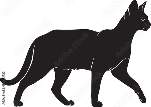 Elegant oriental shorthair cat silhouette profile view majestic feline profile walking gracefully isolated graphic element