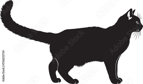 Sleek black cat silhouette elegant prowling feline majestic domestic animal pet silhouette art