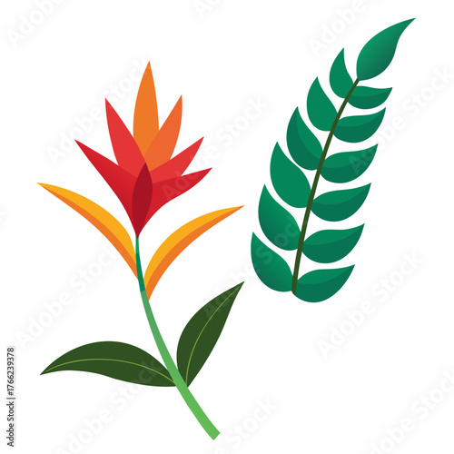 heliconia jade vine flower on white background