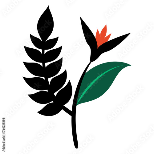 heliconia jade vine silhouette on white background