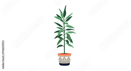Illustration of a potted houseplant with long green leaves and a patterned terracotta pot on a white background, botanical illustration.