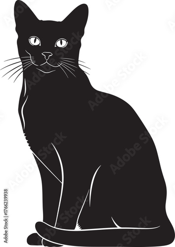 Elegant black cat silhouette sitting upright alert eyes bright white detailed whiskers pet animal companion graceful feline