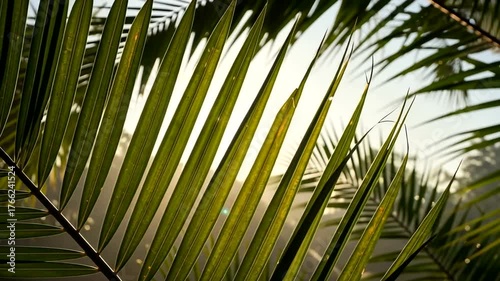 Sunlight filtering through palm leaves in a serene tropical landscape at dawn