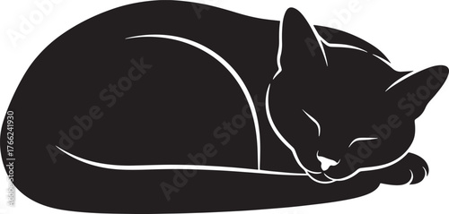 Black cat silhouette sleeping curled up peaceful domestic animal feline pet tranquil resting companion cute