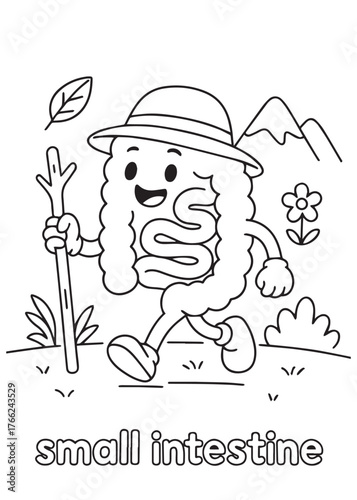 coloring book small intestine hiking adventure cartoon anatomy activity