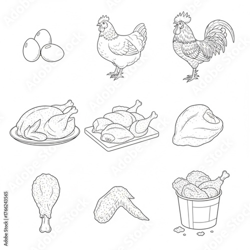 Images with chicken themes, chicken eggs, hens and roosters, whole chickens that have been cut up, chicken parts and fried chicken