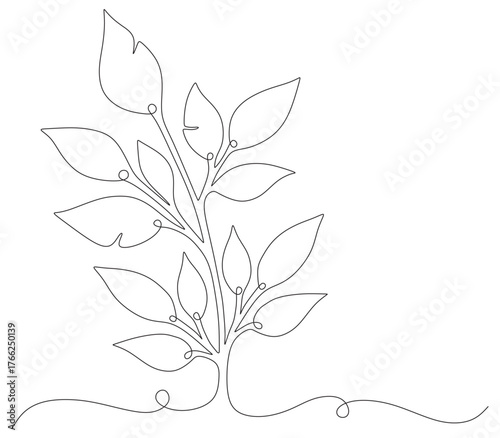 leaf line art 