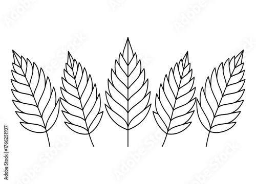 Botanical Outline Illustration of Five Leaves in a Row Against White Background Simple Black and White Leaf Pattern