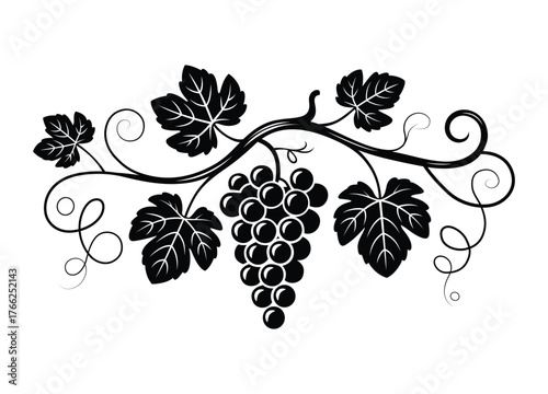 Elegant Grapevine Design with Black and White Stylized Grapes and Leaves for Decoration and Wine Related Themes