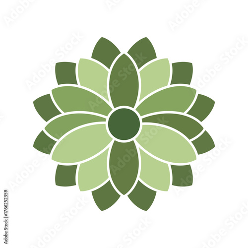 Geometric floral pattern green nature abstract mandala decoration organic flower design element vector