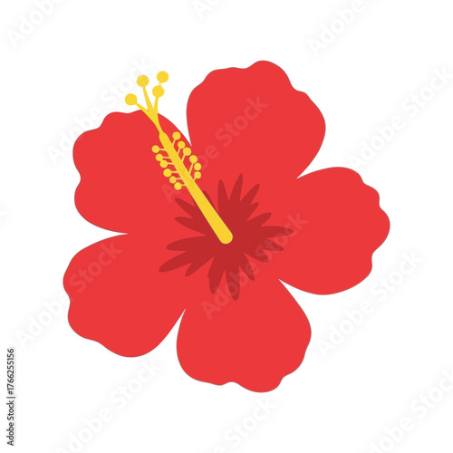 Vibrant red hibiscus flower isolated vector illustration tropical bloom summer floral design element vector