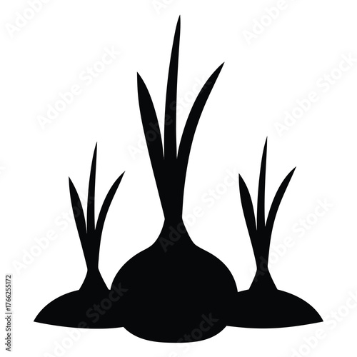 Silhouette of three onions growing from the soil with distinct green shoots reaching upwards