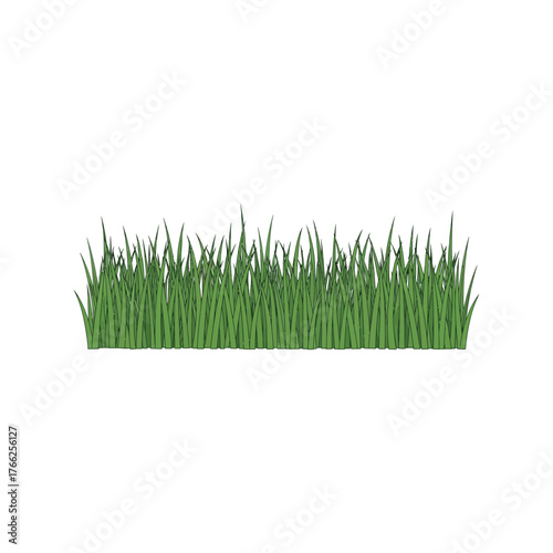 Vibrant green grass edge isolated nature element fresh lawn field vegetation growth healthy outdoors vector
