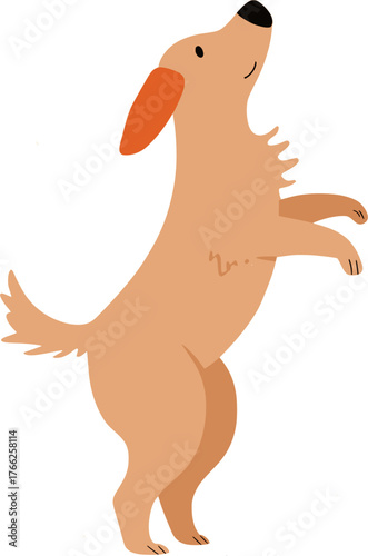 Dog vector illustration