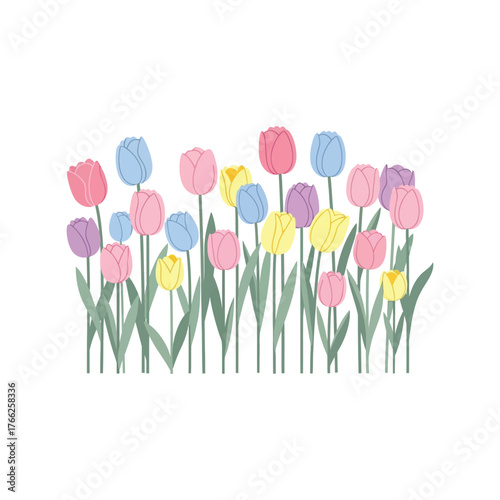 Vibrant watercolor tulips field spring floral garden blooming nature art illustration vector