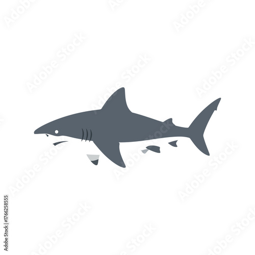 Majestic great white shark swimming ocean predator marine wildlife sea creature underwater vector