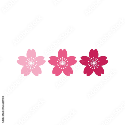 Vibrant cherry blossom flowers pink red colors isolated graphic element floral spring nature art vector