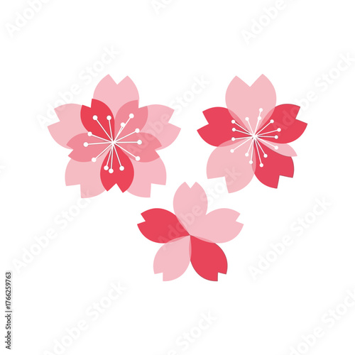 Delicate pink cherry blossom flowers spring season floral design elements isolated vector