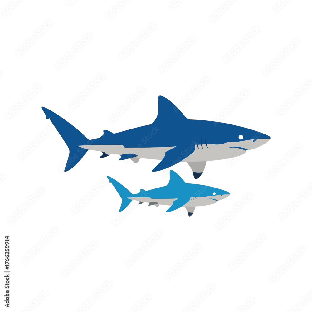 Fototapeta premium Two blue sharks swimming together ocean marine life underwater sea creature animal vector