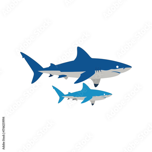 Two blue sharks swimming together ocean marine life underwater sea creature animal vector