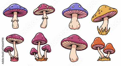 Colorful mushrooms collection with transparent background