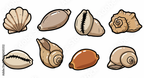 Seashells collection with transparent background