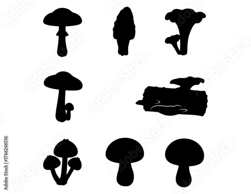 Diverse Mushroom Silhouettes A Collection of Fungi Icons for Nature, Science, and Culinary Projects