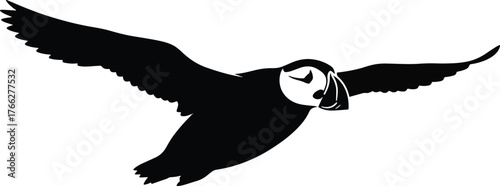 flying puffin bird silhouette design vector. silhouette of a bird