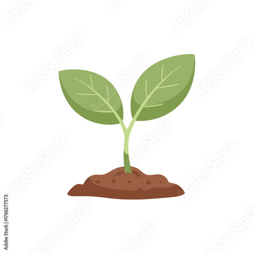A small green plant sprout with two leaves growing from a mound of brown soil on a white background.