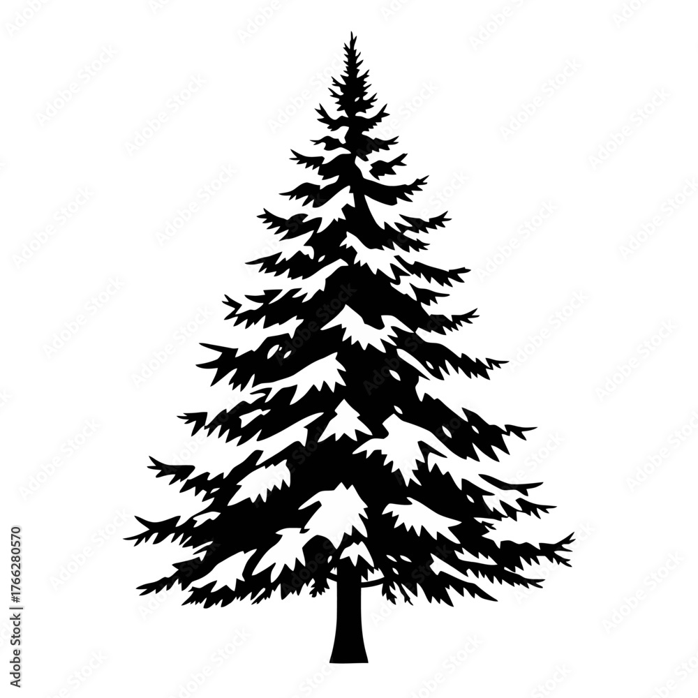 Obraz premium Silhouette of a tall, evergreen pine tree with dense branches, isolated on a white background.