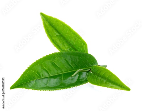 Close-up of three vibrant, green tea leaves against a white background