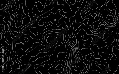 Topological tapestry of heights valleys contours delineate the landscapes form.Abstract green topography vector background. Abstract topographic contours map background. Vector illustration of top