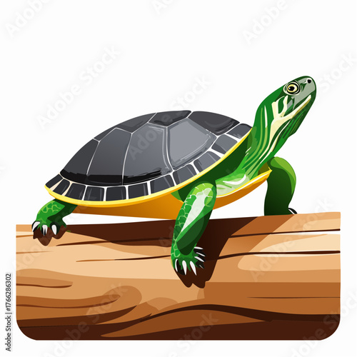 Turtle on a Log