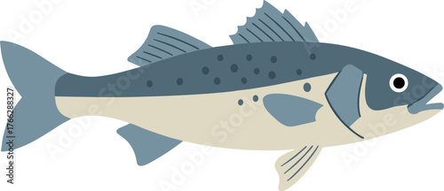 Flat Graphic Style Simple Freshwater Bass Animal Illustration Clipart